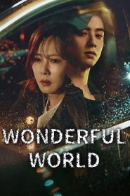 Wonderful World (2024)